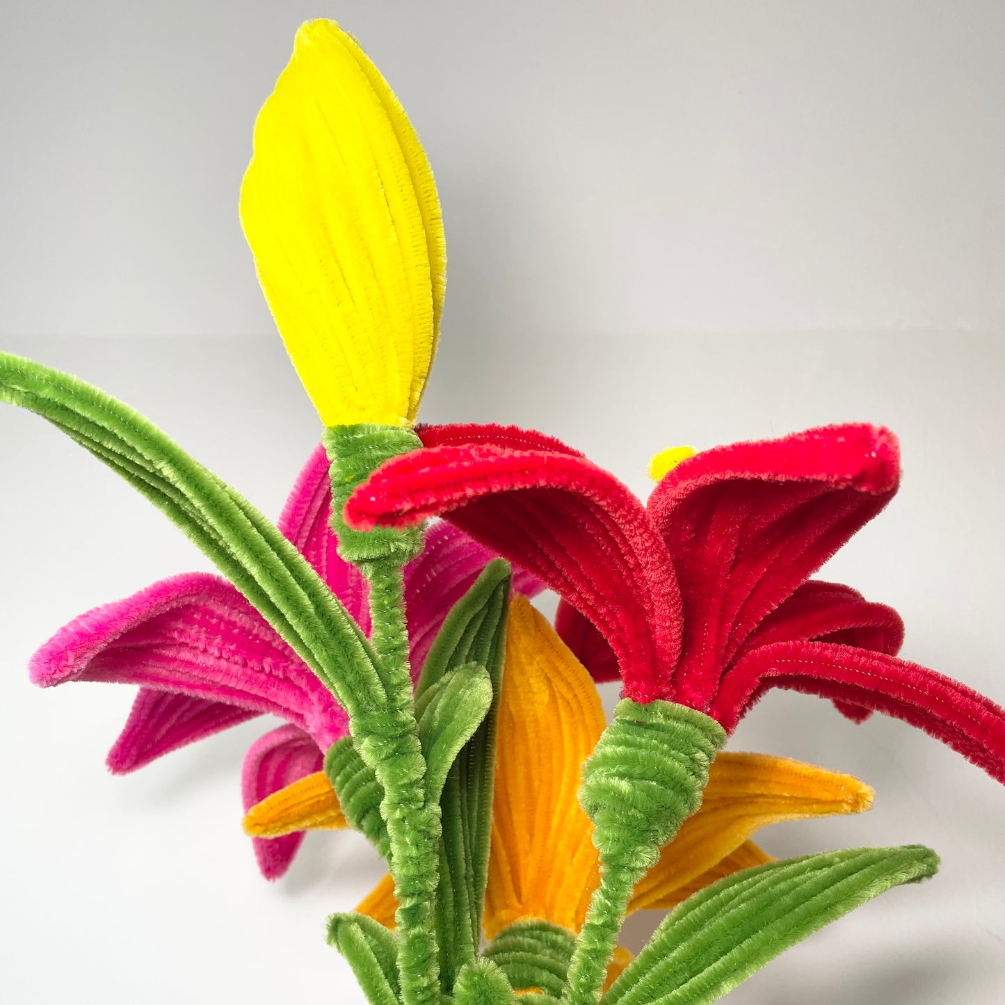 Lily Bouquet - Flamenco Fusion