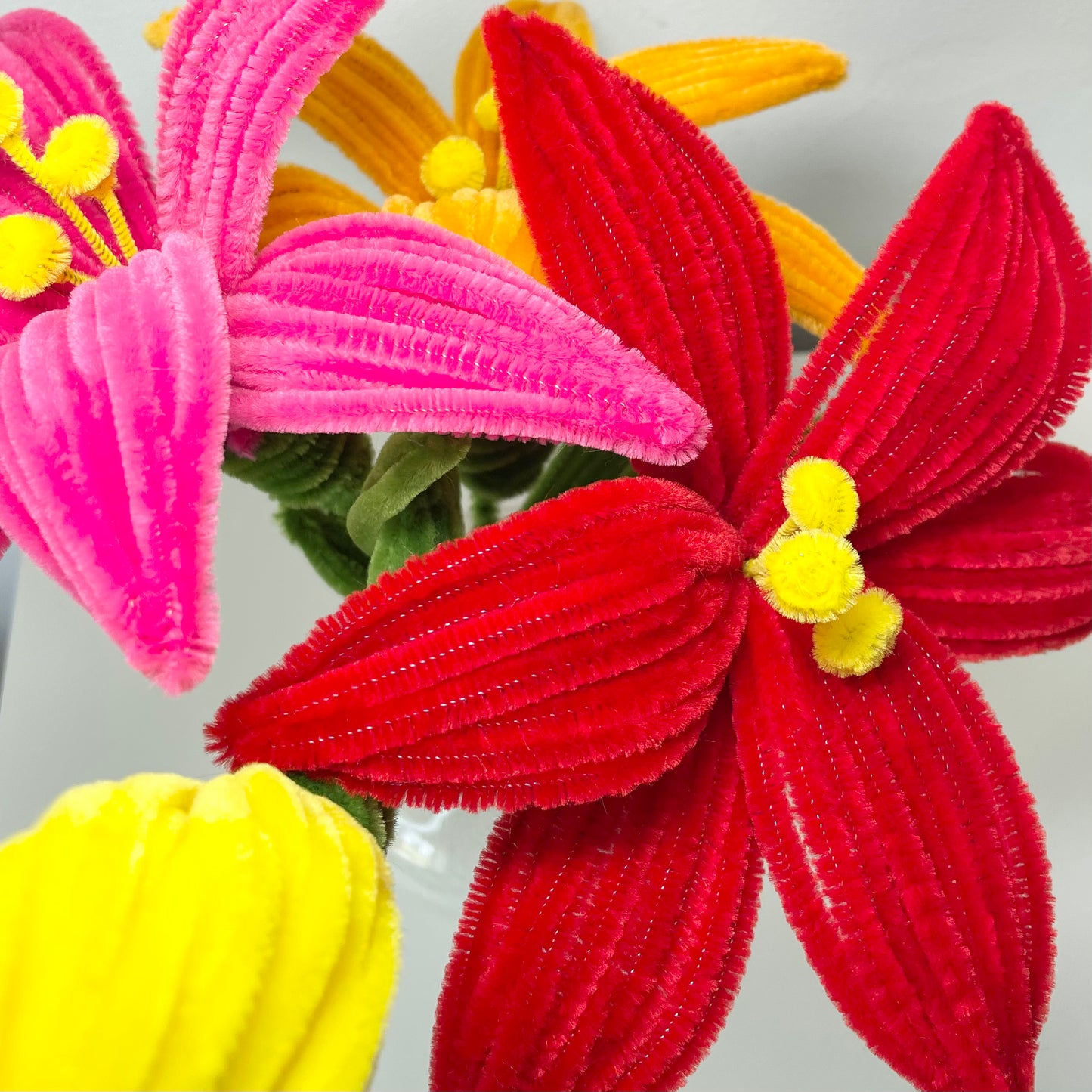 Lily Bouquet - Flamenco Fusion